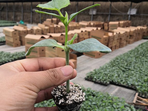 ʥ��(y��u)89�S��-�S�ϷN��-�A�~�N�I(y��)