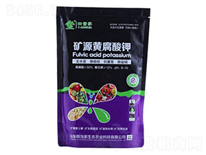 �VԴ�S�����-�ﮔ(d��ng)��