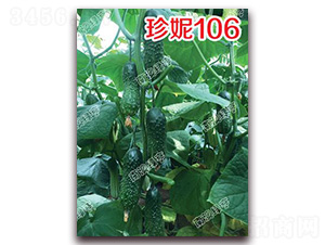 ����106-С�S�ϷN��-�ϰľG��