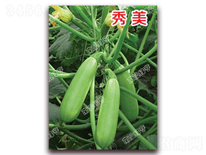 ����-�����J�N��-�ϰľG��