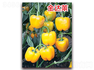 ���_(d��)�R-�𽷷N��-�ϰľG��