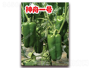 ����һ̖-�𽷷N��-�ϰľG��