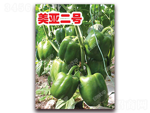 ������̖-�𽷷N��-�ϰľG��