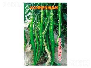 ���Lȫ��烞(y��u)-�����N��-Ӣ���m��