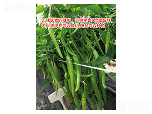 ��֮ζ-�����N��-Ӣ���m��