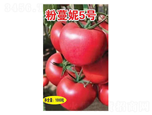 ������5̖-���t���N��-Ӣ���m��