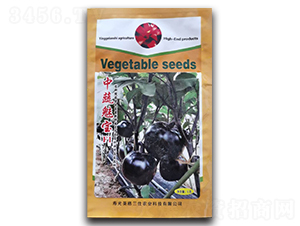 �����Ȍ�-���ӷN��-Ӣ���m��