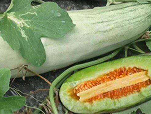 ��Ǵ�N��-Ӣ���m��