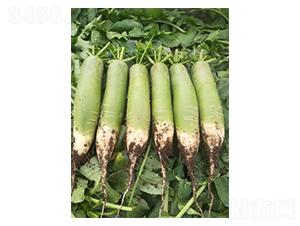 ����ˮ���}��-�}���N��-Ӣ���m��