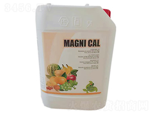 ���������}�V��-�������