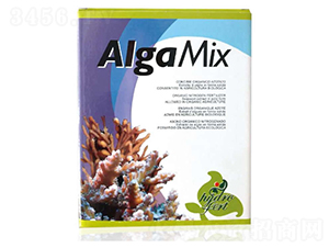 �����ЙC(j��)̼��-�������