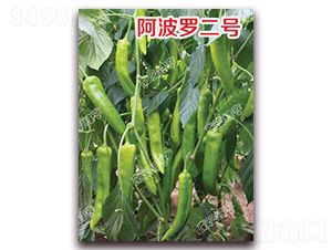 �����_��̖-�⽷�N��-�ϰľG��