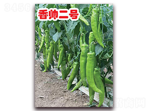 �㎛��̖-�⽷�N��-�ϰľG��