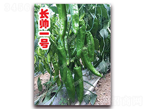 �L��һ̖-�⽷�N��-�ϰľG��