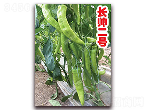 �L����̖-�⽷�N��-�ϰľG��