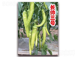 �L(zh��ng)����̖(h��o)-�⽷�N��-�ϰľG��