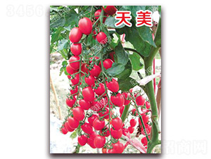 ����-���ҷ��ѷN��-�ϰľG��