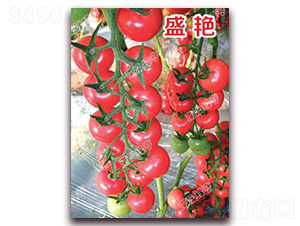 ʢ�G-���ҷ��ѷN��-�ϰľG��