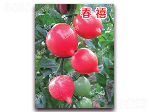 ����-���ҷ��ѷN��-�ϰľG��