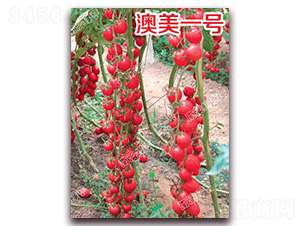 ����һ̖-���ҷ��ѷN��-�ϰľG��