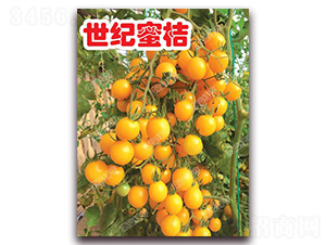 ���o�۽�-���ҷ��ѷN��-�ϰľG��