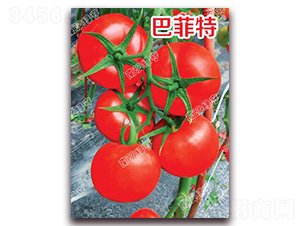 �ͷ���-��t���ѷN��-�ϰľG��