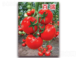 ����-��t���ѷN��-�ϰľG��