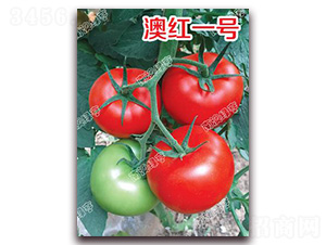 �ļtһ̖(h��o)-��t���ѷN��-�ϰľG��