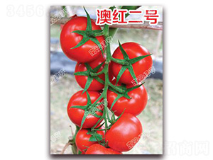 �ļt��̖(h��o)-��t���ѷN��-�ϰľG��