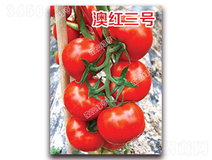 �ļt��̖(h��o)-��t���ѷN��-�ϰľG��