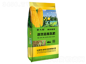 速效追施氮肥-黃大棒-中壟