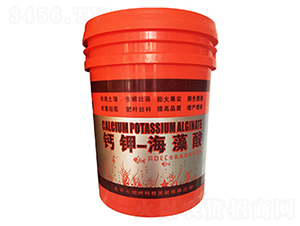 �}⛺�����-�߿���