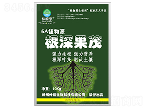 ����ľù��-�����(gu��)ï-����Ȫ