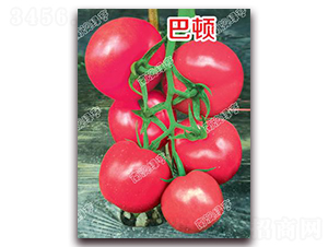 ���D-�۹����ѷN��-�ϰľG��