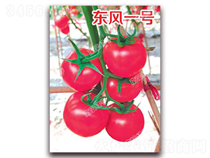 �|�L(f��ng)һ̖-�۹����ѷN��-�ϰľG��