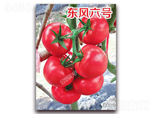 �|�L(f��ng)��̖-�۹����ѷN��-�ϰľG��