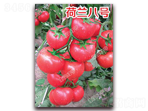 ���m��̖-�۹����ѷN��-�ϰľG��