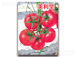 ������-�۹����ѷN��-�ϰľG��