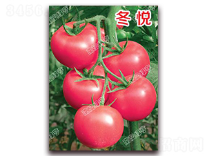 ����-�۹����ѷN��-�ϰľG��