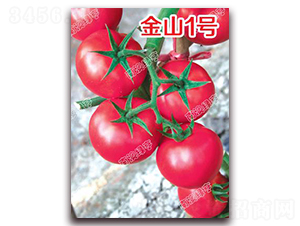 ��ɽ1̖-�۹����ѷN��-�ϰľG��