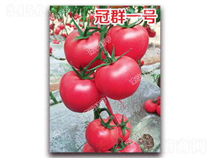 ��Ⱥһ̖-�۹����ѷN��-�ϰľG��