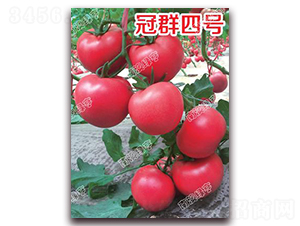 ��Ⱥ��̖-�۹����ѷN��-�ϰľG��