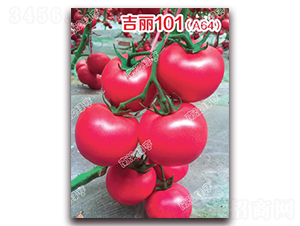 ����101��A64��-�۹����ѷN��-�ϰľG��