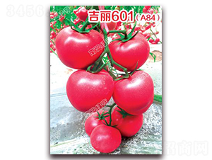 ����601��A84��-�۹����ѷN��-�ϰľG��