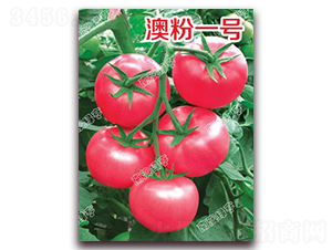 �ķ�һ̖-�۹����ѷN��-�ϰľG��