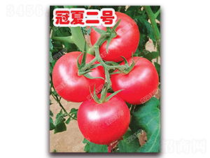 ���Ķ�̖(h��o)-�۹����ѷN��-�ϰľG��