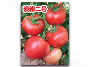 �ķ۶�̖(h��o)-�۹����ѷN��-�ϰľG��