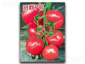 ��Ⱥ7̖(h��o)-�۹����ѷN��-�ϰľG��