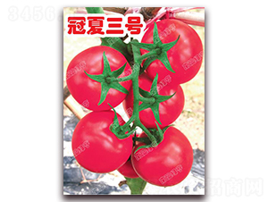 冠夏三號(hào)-粉果番茄種子-南澳綠亨