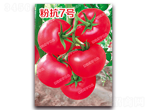 �ۿ�7̖-�۹����ѷN��-�ϰľG��